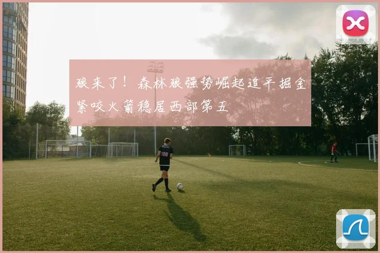 狼来了！森林狼强势崛起追平掘金紧咬火箭稳居西部第五