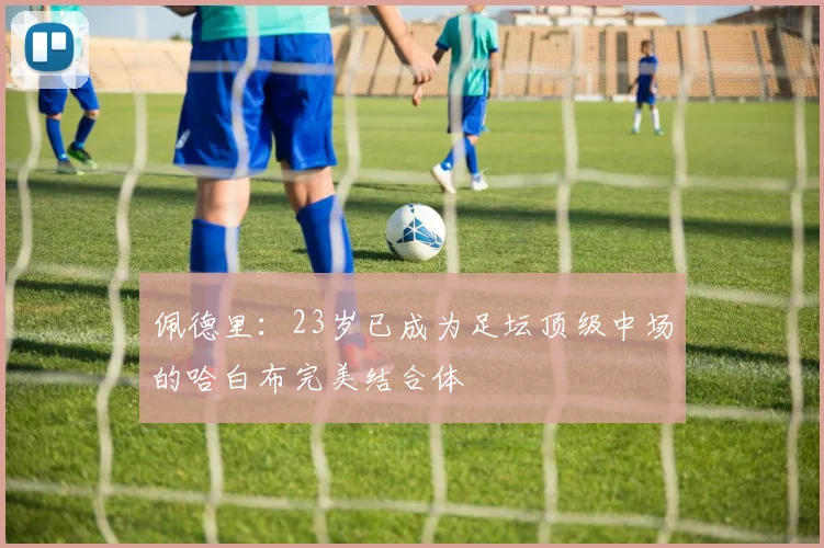 佩德里：23岁已成为足坛顶级中场的哈白布完美结合体